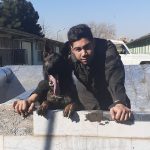 مربی بین المللی تربیت سگ